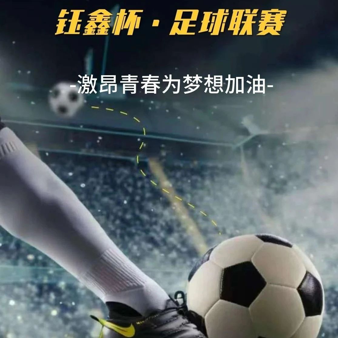重庆市铜梁区青年企业家商会