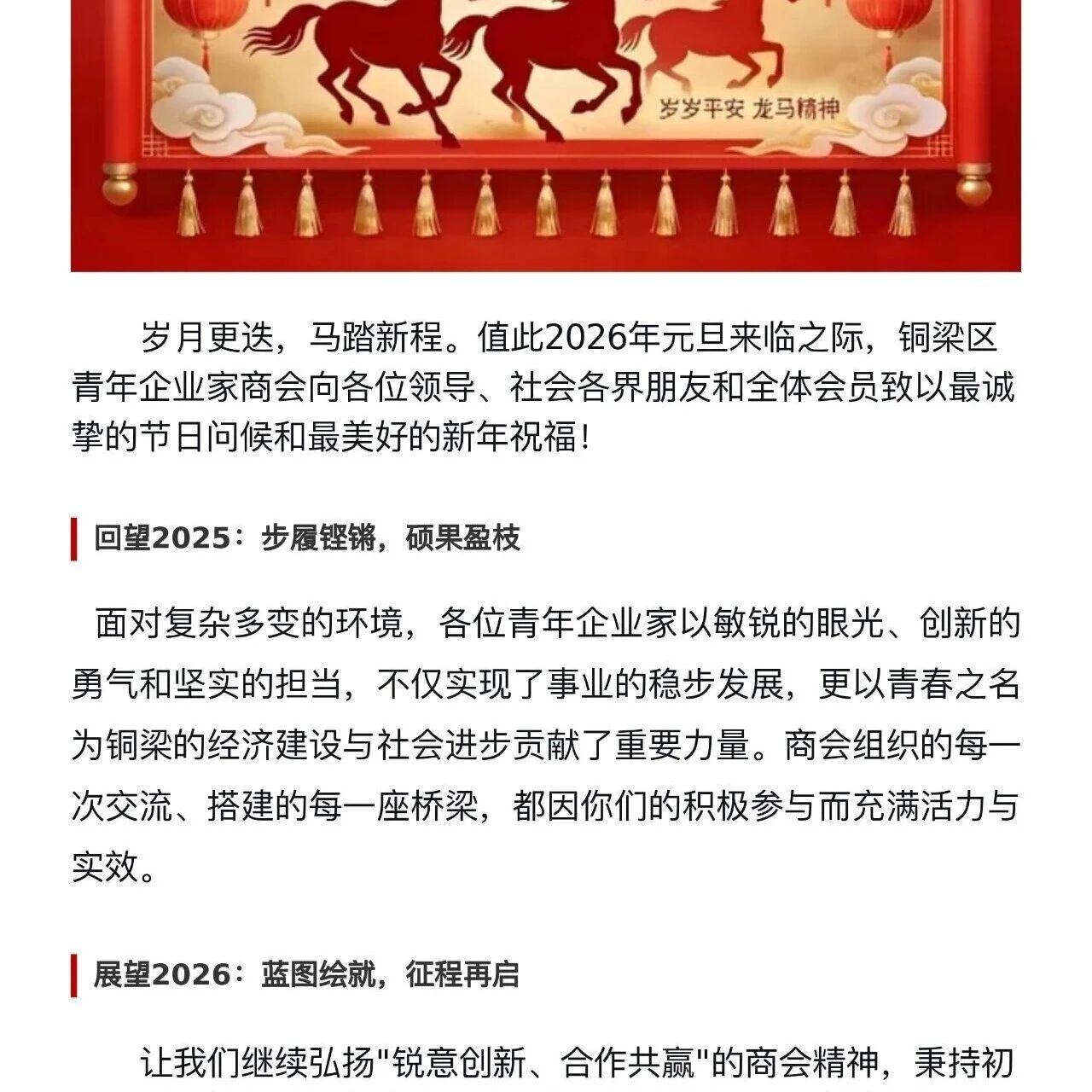 重庆市铜梁区青年企业家商会