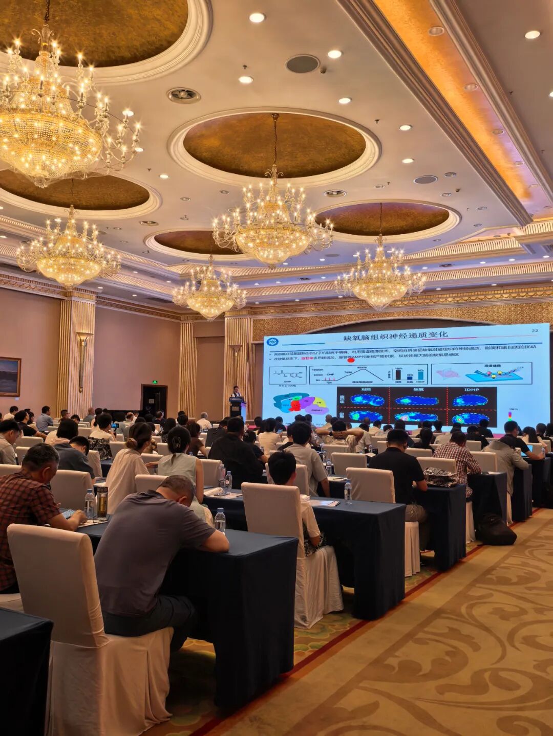 丝瓜下载app亮相石化分析盛会，高效方案赋能产业未来