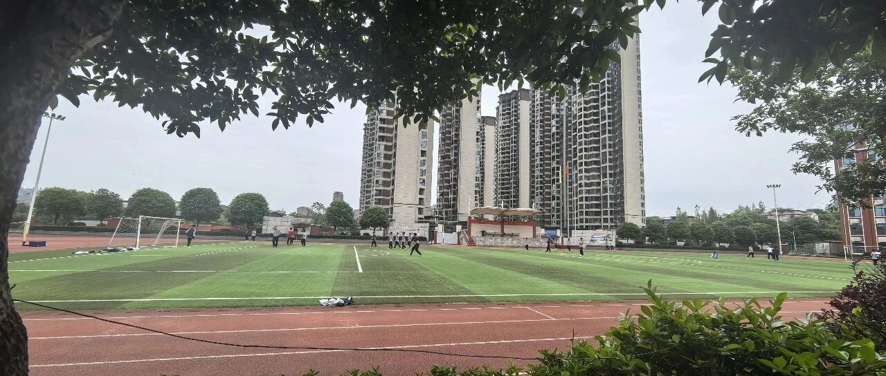 采集的图片