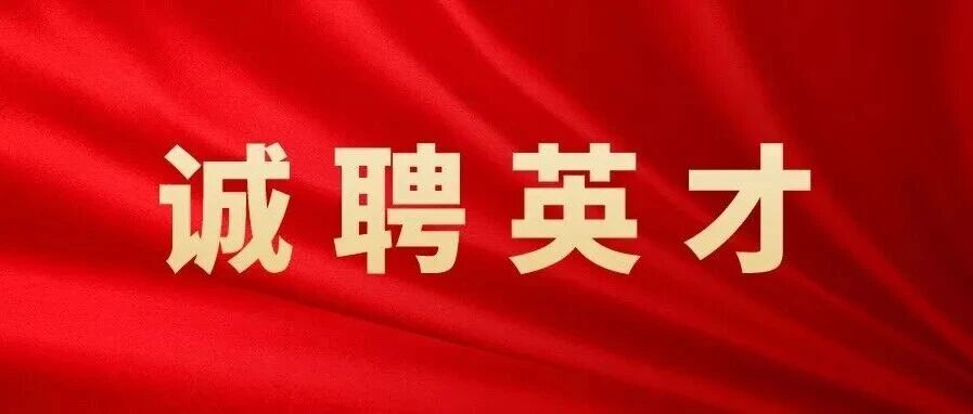 公开招聘！