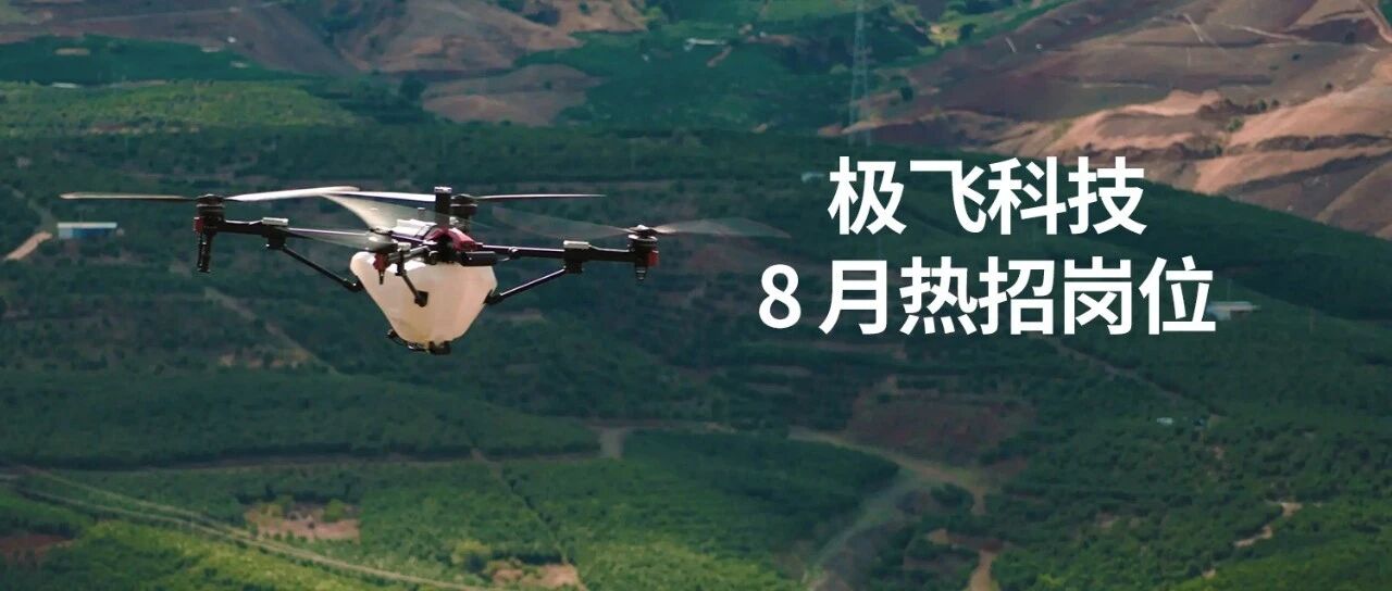 社招｜极飞科技 8月岗位热招中