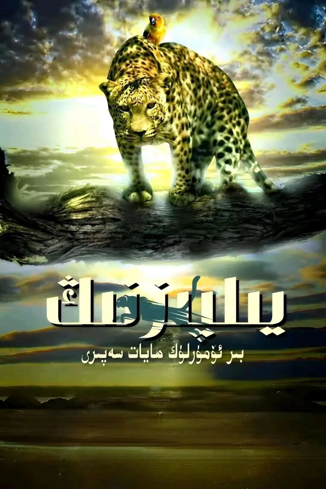 يىلپىزنىڭ ھاياتى