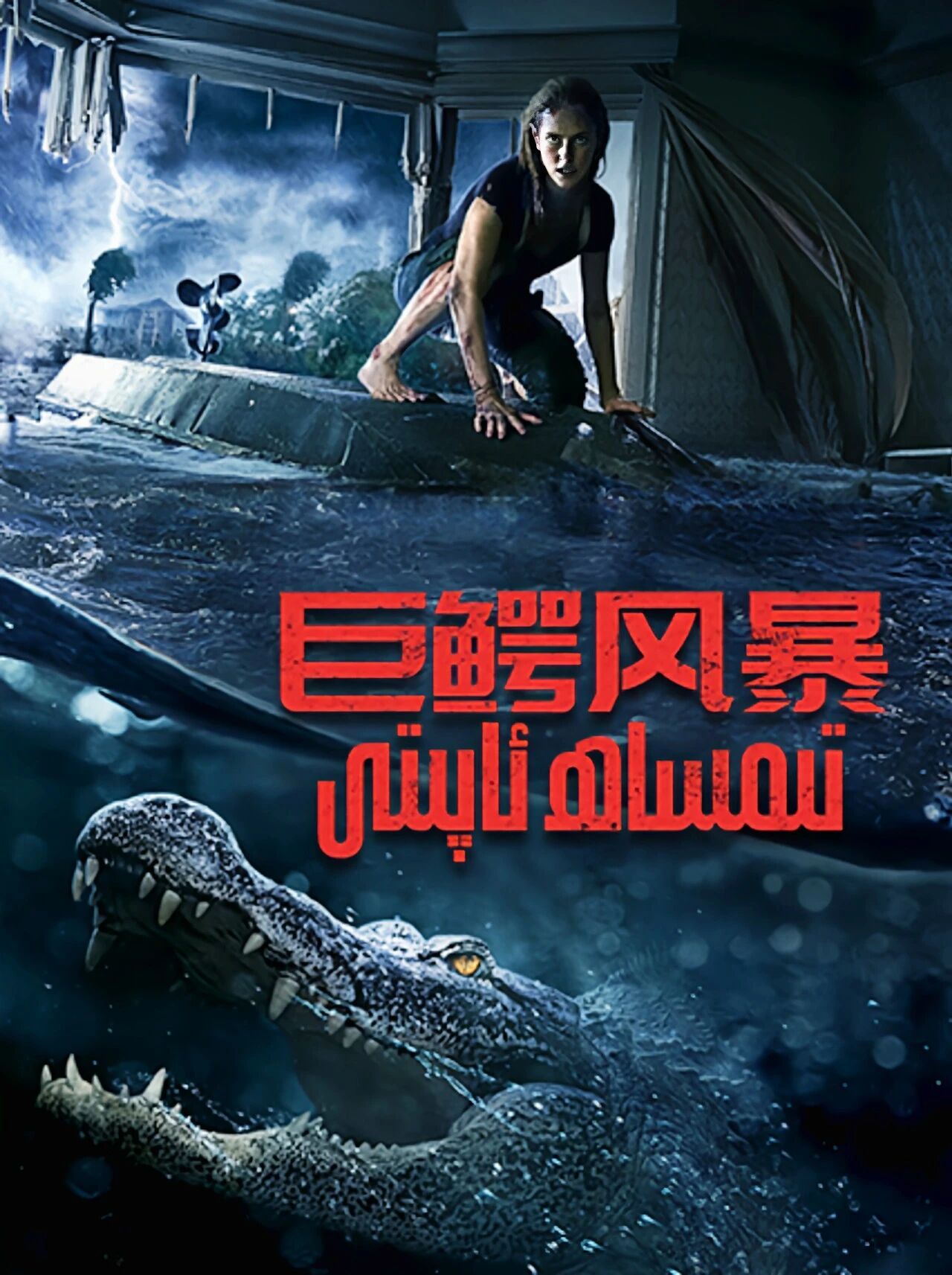 تىمساھ ئاپىتىY