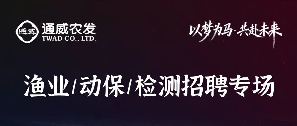 26招聘