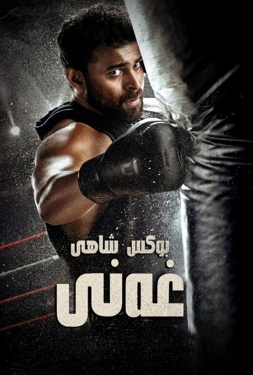 بوكس شاھى غەنى