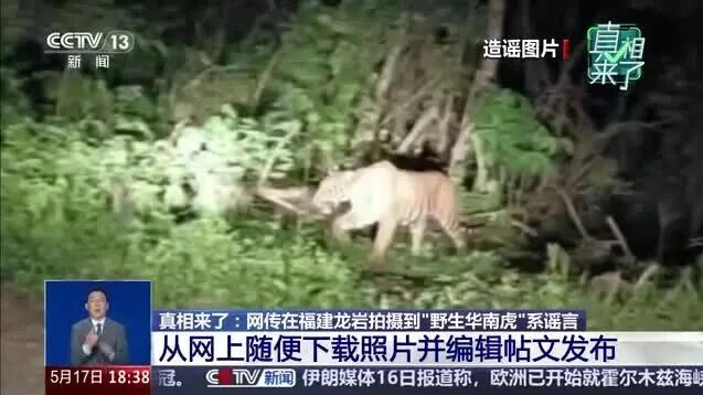  您的浏览器不支持 video 标签 