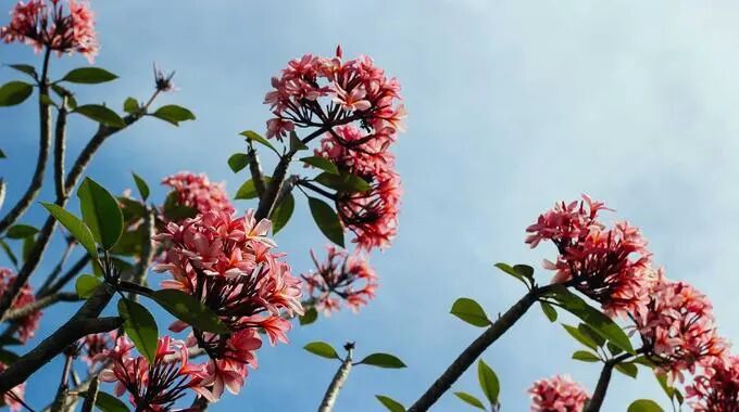 中國電子稅務(wù)局個稅申報界面