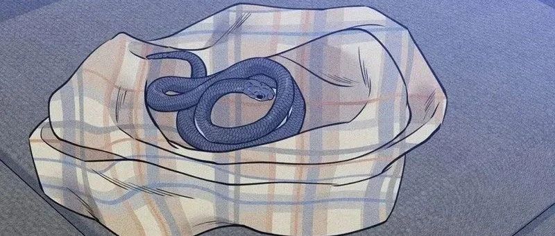 下班路上捡到蛇漫画免费观看下拉式
