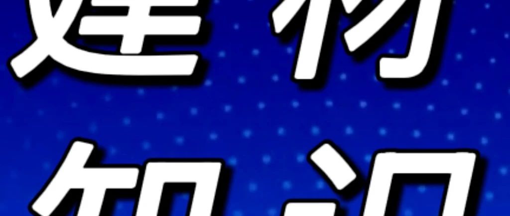 cover_image