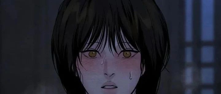 野画集第1-4季完整版在哪看？