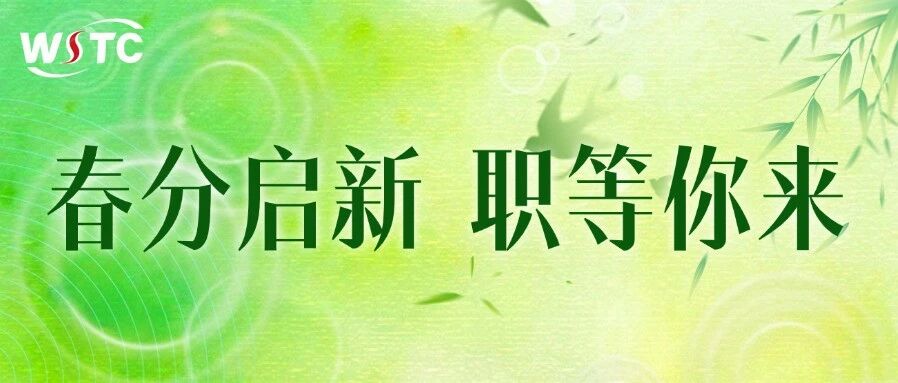 26届春招
