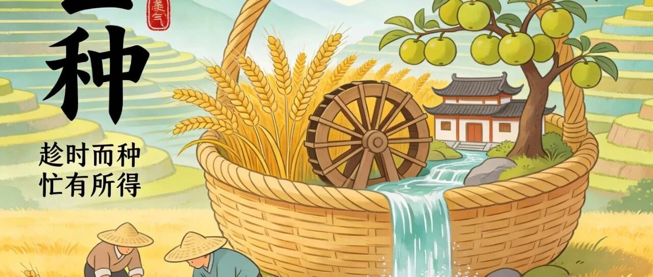 今天芒种：英语里怎么说那种“忙着长大”的感觉？