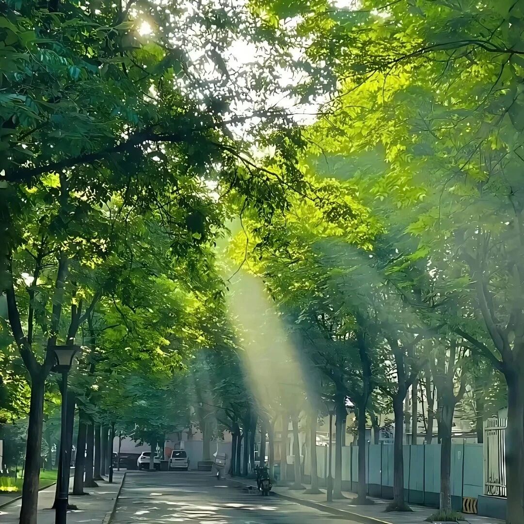 台积电法说会今天开，AI芯片需求爆了，但这些半导体英语你看得懂吗？用科技热点学一波硬核词汇