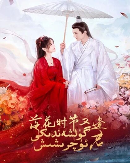 گۈلشەندىكى ئۇچرىشىش海报