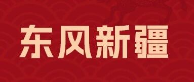 东风新疆26招聘