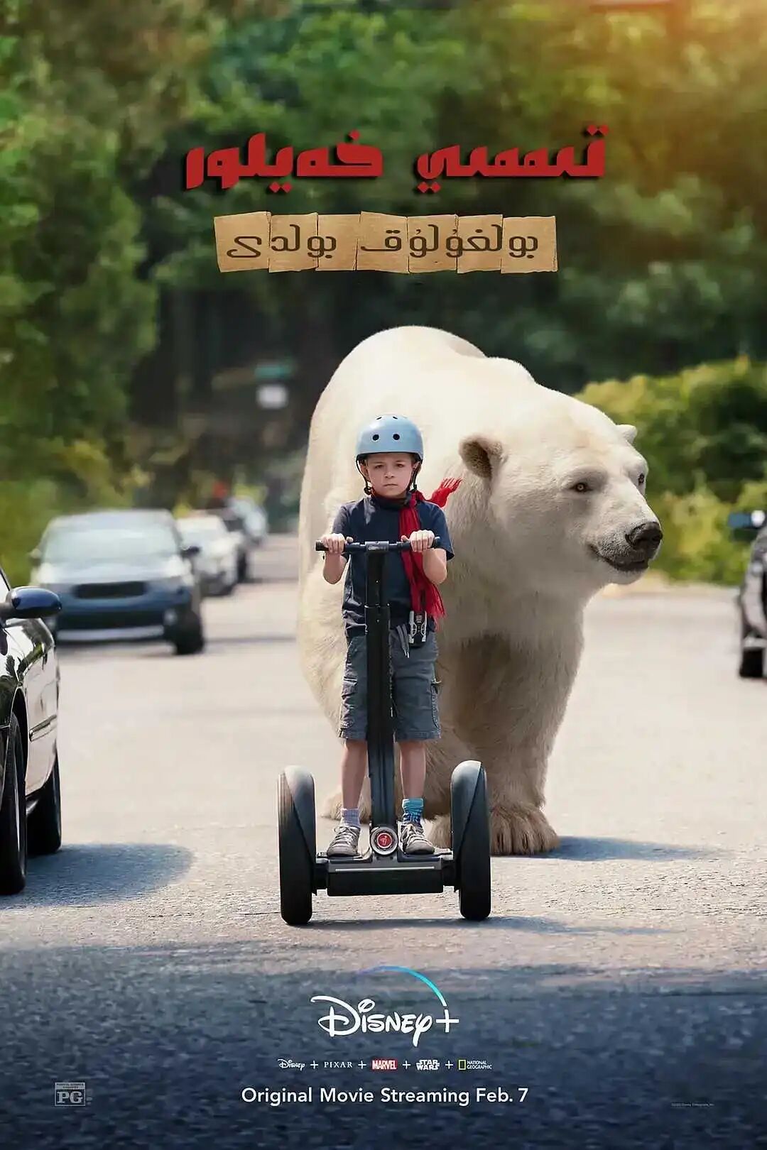 تىممىي فەيلور بولغۇلۇق بولدى