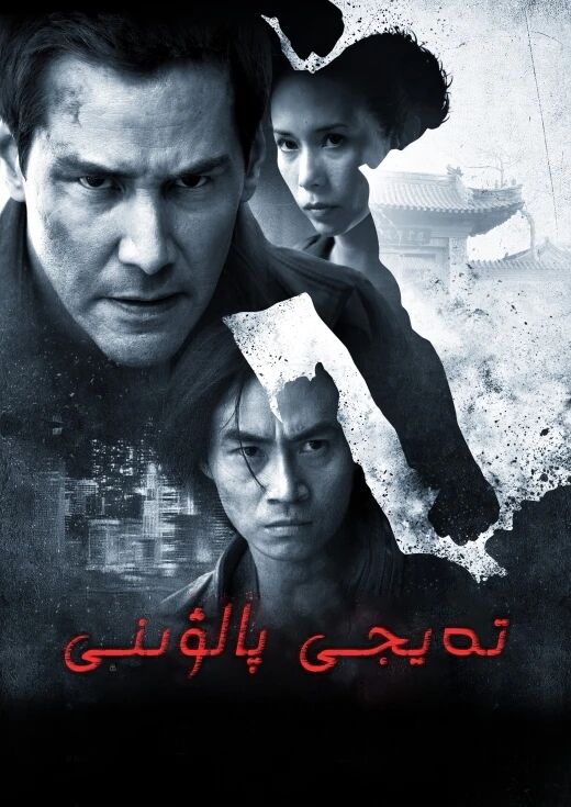 تەيجى پالۋىنى
