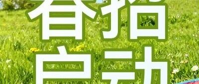 26届春招