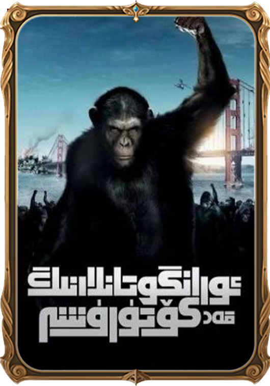 ئورانگۇتانلارنىڭ قەد كۆتۈرۈشى 1