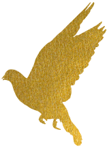 广州旺众智能科技有限公司-汽车教学实训设备，教育装备产品的研发，生产与销售