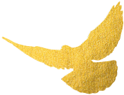 广州旺众智能科技有限公司-汽车教学实训设备，教育装备产品的研发，生产与销售