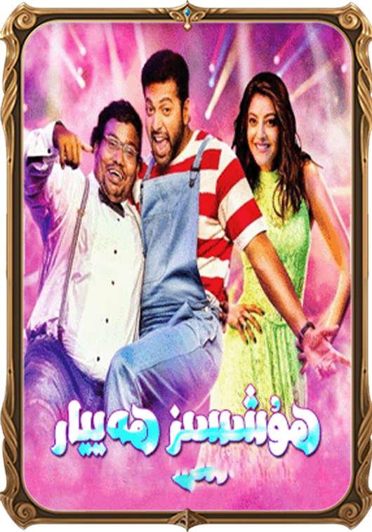 ھۇشسىز ھەييار
