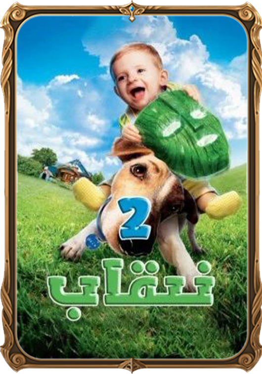 نىقاب 2