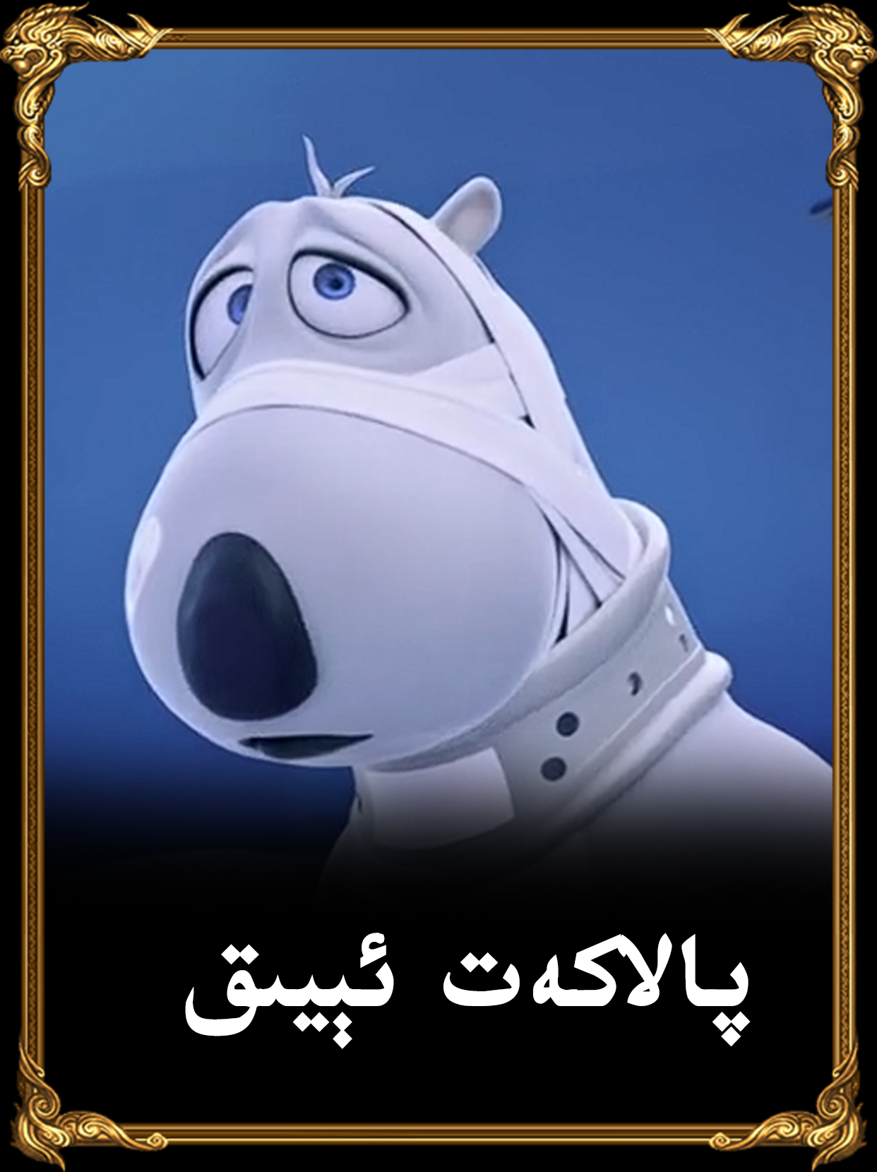 پالاكەت ئېيىق