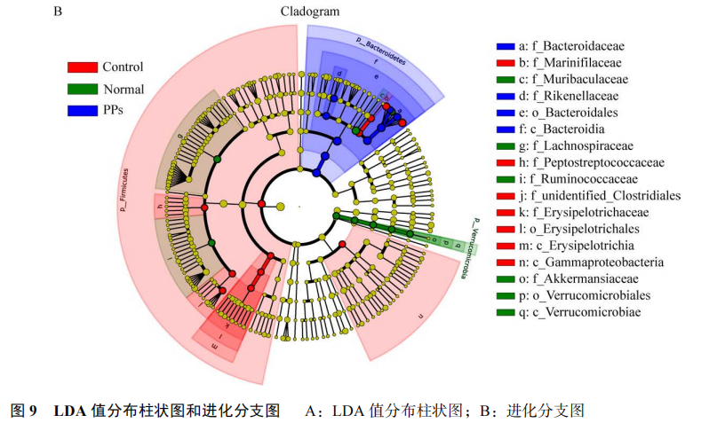 论文解读|桑黄多糖：缓解溃疡性结肠炎(图7)