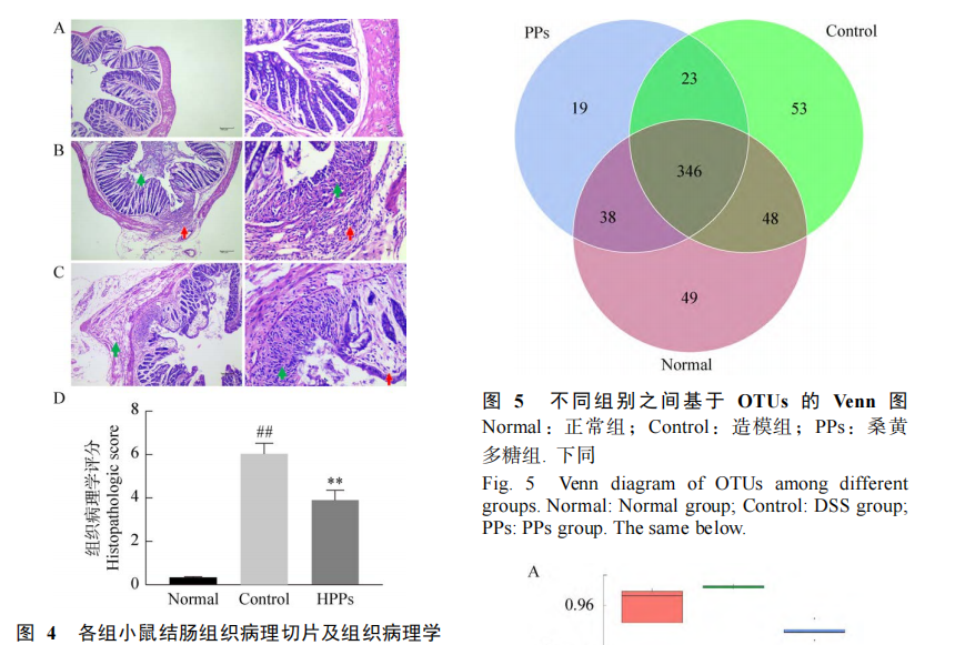 论文解读|桑黄多糖：缓解溃疡性结肠炎(图5)