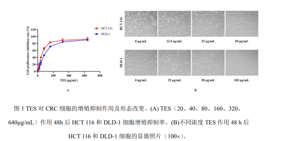论文解读|桑黄可阻止结直肠癌侵袭转移(图3)