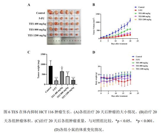 论文解读|桑黄可阻止结直肠癌侵袭转移(图6)