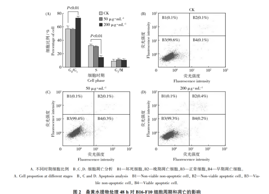 论文解读-桑黄水提物防治黑色素瘤的机制(图5)