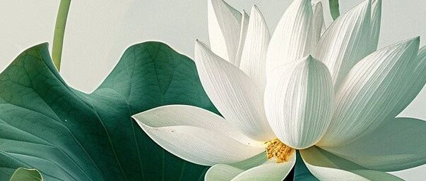 cover_image