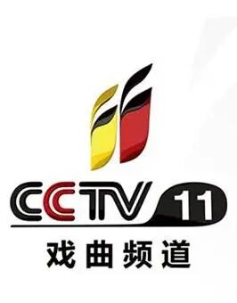 cctv-11