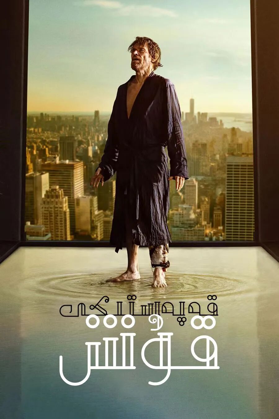 قەپەستىكىي قۇش 