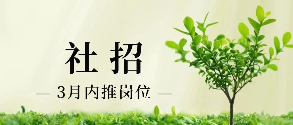 社招