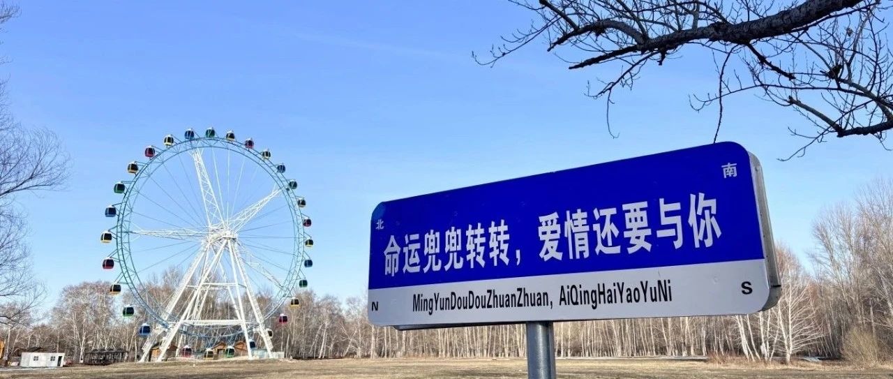 2025年哈巴河白桦林景区