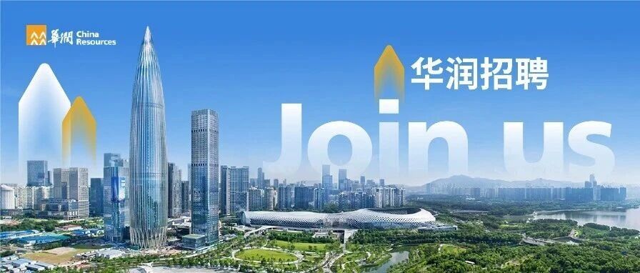 华润集团审计部审计监督（数据分析）岗公开招聘
