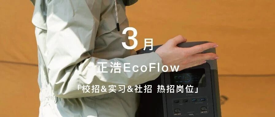 EcoFlow26实习
