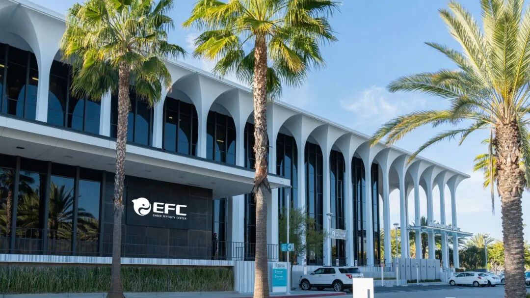 卵巢早衰AMH仅0.3，美国EFC一促一移成功上岸