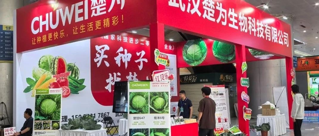 【企业新闻】楚为生物精彩亮相2025年第42届武汉种子交易会