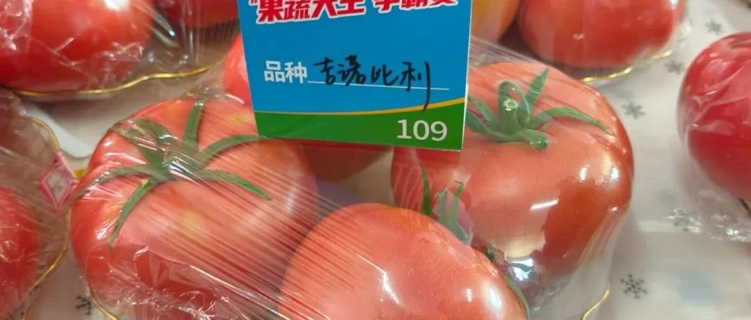 【企业新闻】喜报！河北饶阳，楚为“吉诺比利”番茄荣获“番茄大王”称号