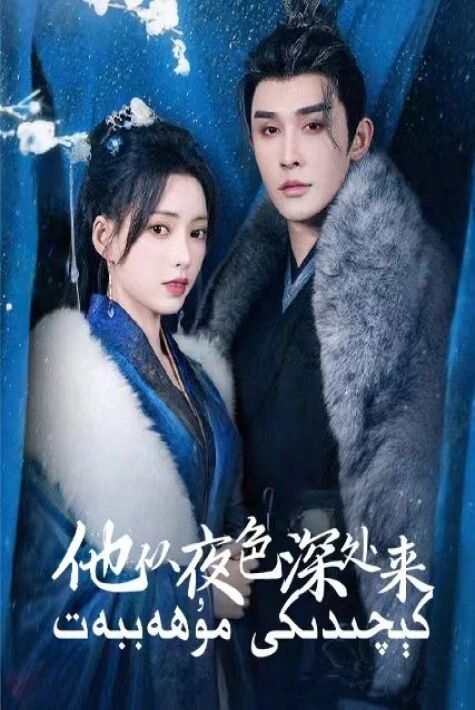 كېچىدىكى مۇھەببەت（2025）