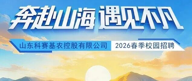 26届春招