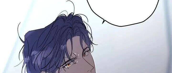 我唯一的向导漫画高清版在线观看