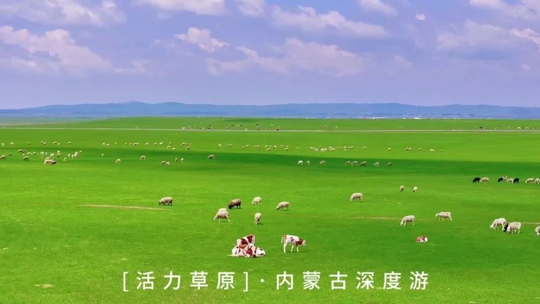 内蒙古大草原我们来了