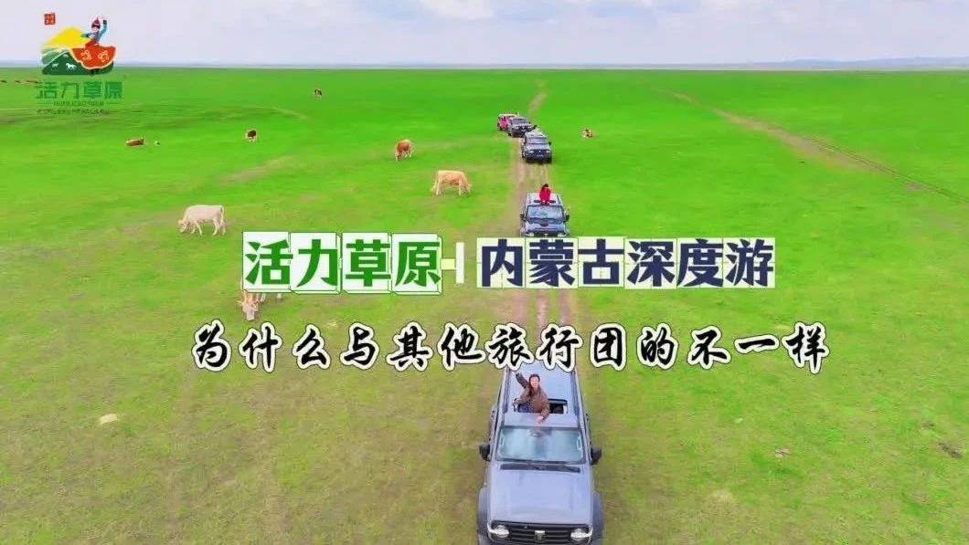 内蒙古大草原我们来了