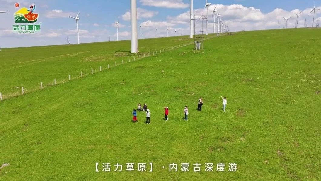 内蒙古大草原我们来了